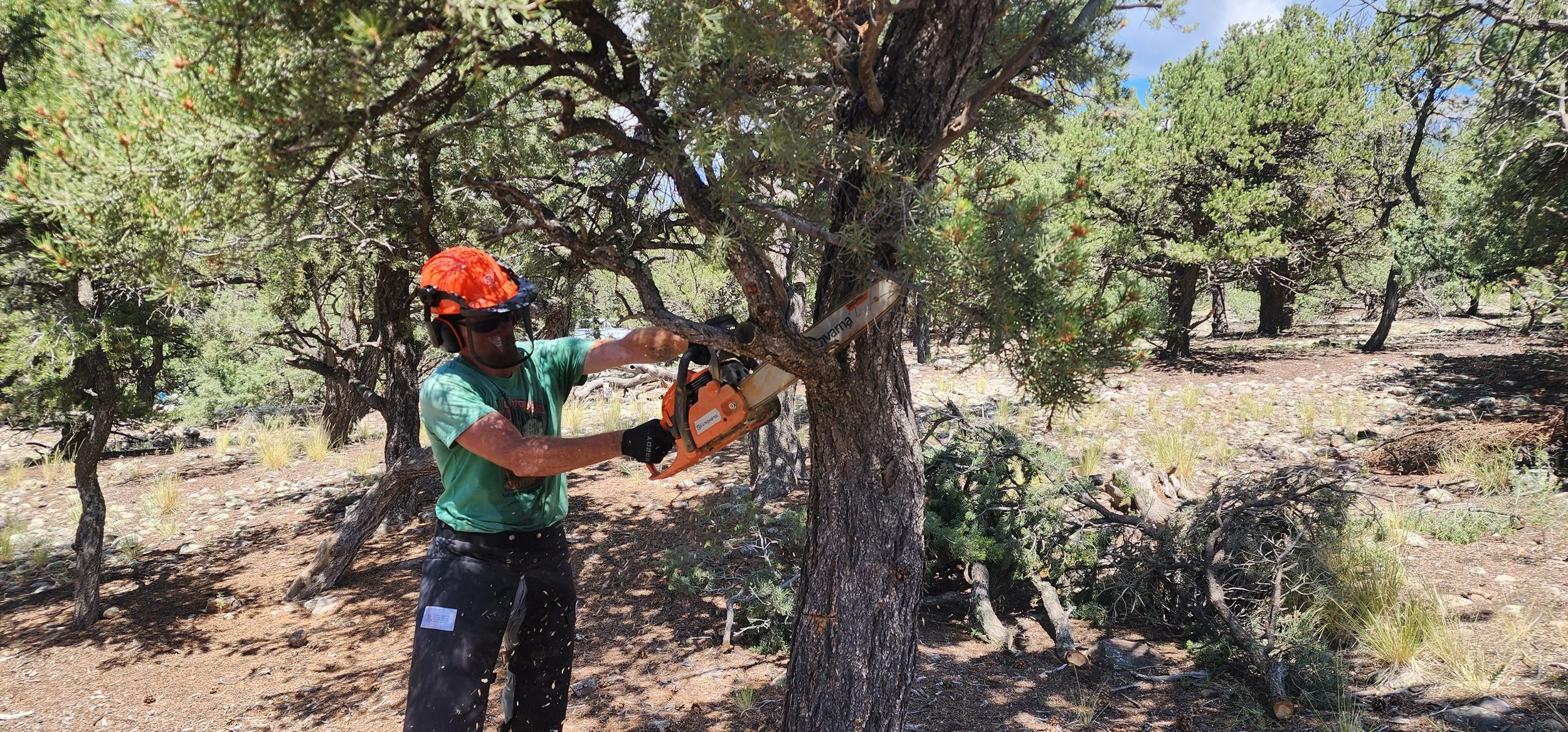 Landscape work in Baca Grande